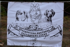 Лебедянская выставка охотничьих собак